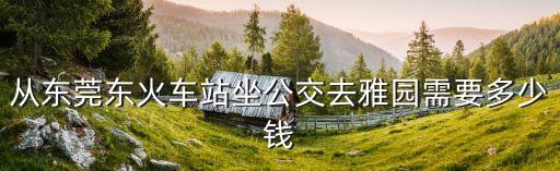 從東莞東火車站坐公交去雅園需要多少錢