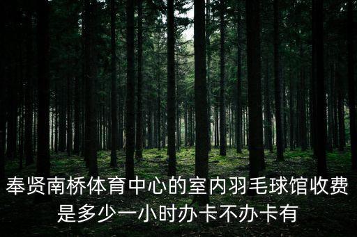 羽毛球館上海市奉賢區體育局西，奉賢區江月路有羽毛球館嗎