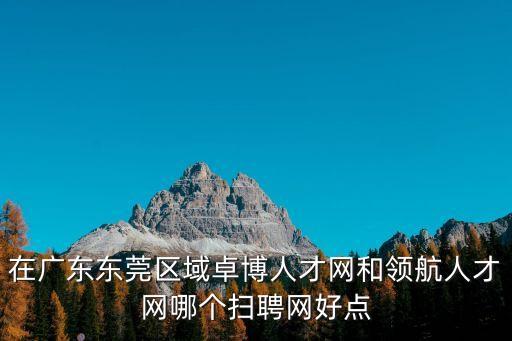 在廣東東莞區域卓博人才網和領航人才網哪個掃聘網好點