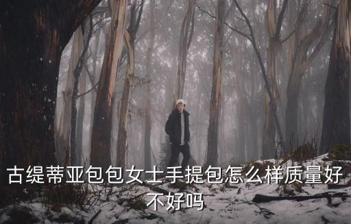 古緹蒂亞包包女士手提包怎么樣質量好不好嗎