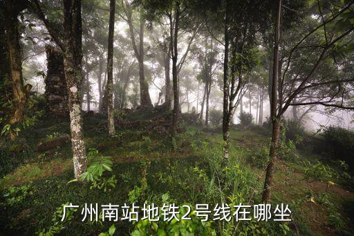 廣州南站l2入口，廣州南站地鐵2號線在哪坐