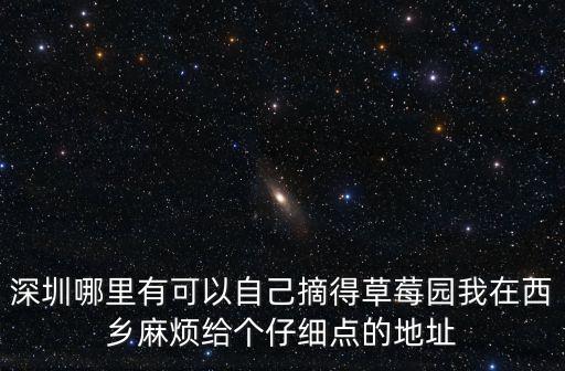 深圳有摘樹莓的地方嗎，深圳哪里有摘草莓的地方
