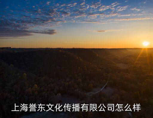 上海譽(yù)東文化傳播有限公司怎么樣