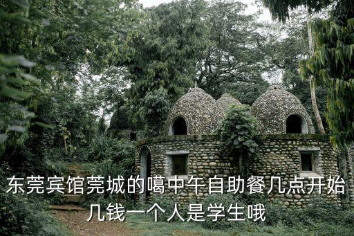 東莞住酒店含自助晚餐，東莞賓館莞城的噶中午自助餐幾點開始幾錢一個人是學生哦