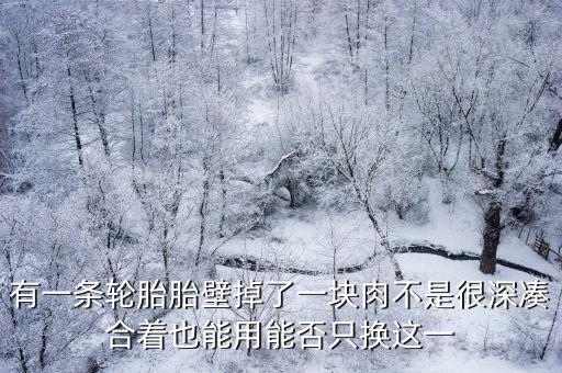 廣州花都固特異輪胎店，請(qǐng)問(wèn)花都哪里有用得的舊輪胎賣(mài)