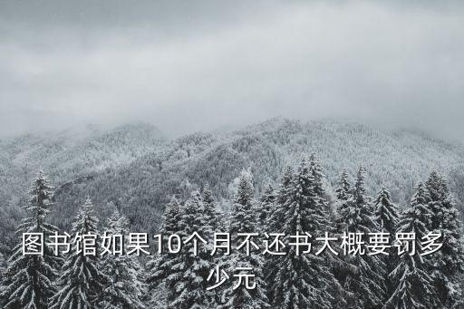 圖書館如果10個(gè)月不還書大概要罰多少元
