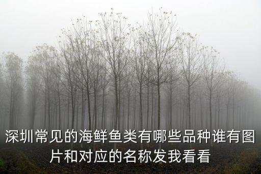 深圳五月初釣什么海魚，深圳常見的海鮮魚類有哪些品種誰有圖片和對應的名稱發我看看
