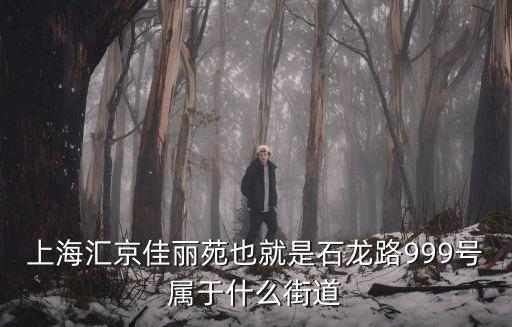 上海匯京佳麗苑也就是石龍路999號屬于什么街道