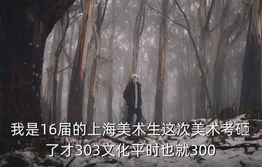 我是16屆的上海美術(shù)生這次美術(shù)考砸了才303文化平時(shí)也就300