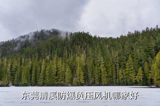 東莞清溪防爆負(fù)壓風(fēng)機哪家好