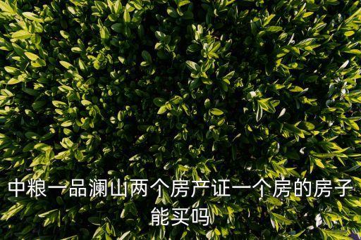 中糧一品瀾山兩個房產證一個房的房子能買嗎