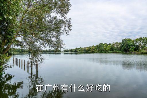 在廣州有什么好吃的