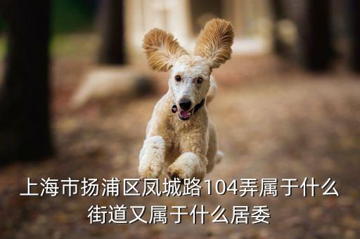 上海市鳳城路屬于哪個區，鳳城三路屬于那個區