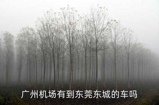 廣州機場有到東莞東城的車嗎