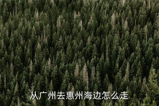 從廣州去惠州海邊怎么走