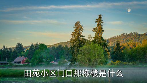 深圳市田貝菜市場招商么，田苑小區(qū)門口那棟樓是什么