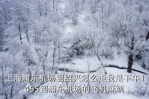 上海浦東機(jī)場(chǎng)到紹興怎么走我是下午1455到浦東機(jī)場(chǎng)的飛機(jī)麻煩