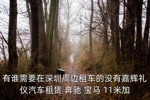 深圳租賃性質車輛，深圳租車最好什么車多少租金多少押金需要那些手續