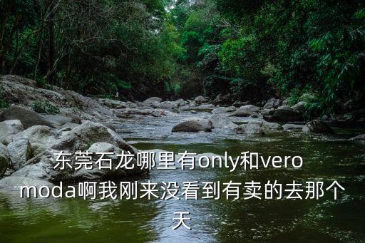 東莞石龍哪里有only和vero moda啊我剛來沒看到有賣的去那個(gè)天