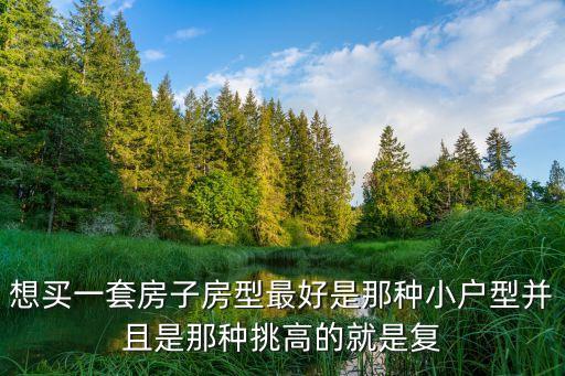 想買一套房子房型最好是那種小戶型并且是那種挑高的就是復(fù)