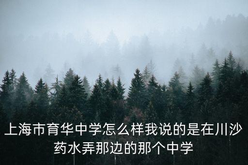 上海市育華中學怎么樣我說的是在川沙藥水弄那邊的那個中學
