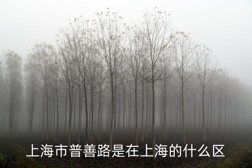 上海市普善路是在上海的什么區(qū)