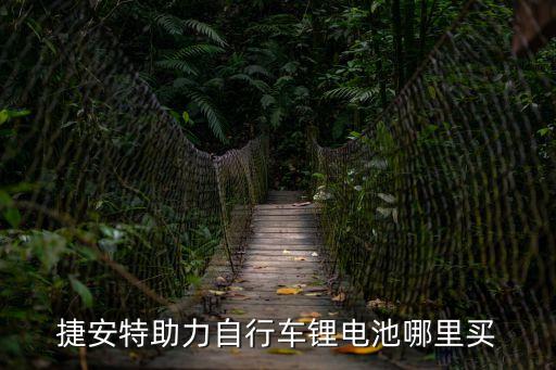 深圳捷時達自行車用鋰電池，捷奧比鋰電池