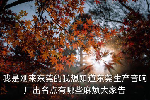 東莞插卡藍牙音箱廠家，我是剛來東莞的我想知道東莞生產音響廠出名點有哪些麻煩大家告