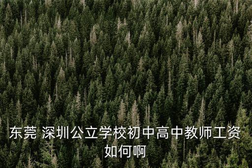 東莞 深圳公立學校初中高中教師工資如何啊