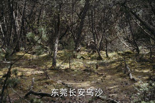 東莞長安烏沙