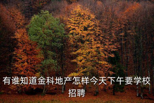有誰知道金科地產(chǎn)怎樣今天下午要學(xué)校招聘