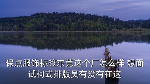 東莞賽維印刷實業有限公司怎么樣，賽維網絡科技有限公司怎么樣