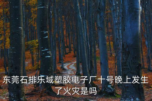 東莞石排樂域電子，東莞石排樂域塑膠電子廠十號晚上發(fā)生了火災是嗎