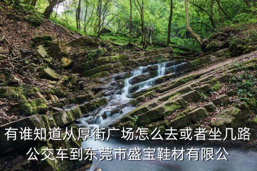 有誰知道從厚街廣場怎么去或者坐幾路公交車到東莞市盛寶鞋材有限公