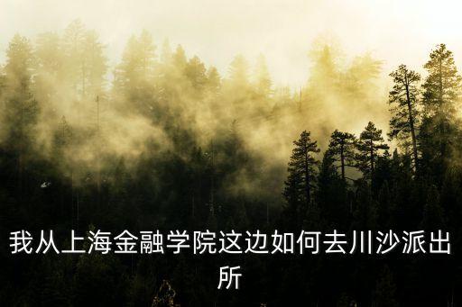 我從上海金融學院這邊如何去川沙派出所