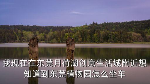 東莞月荷湖美景，進月荷湖要買票嗎哪里有網球場嗎