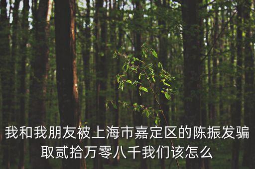 上海市協力律師事務所河南，我和我朋友被上海市嘉定區的陳振發騙取貳拾萬零八千我們該怎么