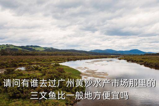 請(qǐng)問有誰(shuí)去過廣州黃沙水產(chǎn)市場(chǎng)那里的三文魚比一般地方便宜嗎