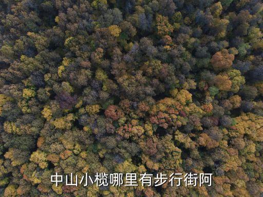 東莞小欖步行街，中山小欖哪里有步行街阿