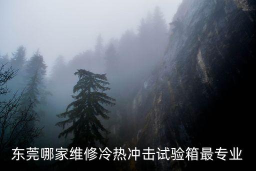 東莞沖擊氣缸哪家質(zhì)量好，東莞哪家冷熱沖擊試驗箱性價比最高