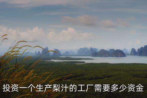 東莞下橋家園果業有限公司，投資一個生產梨汁的工廠需要多少資金