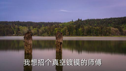 我想招個真空鍍鏌的師傅