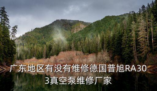 廣東地區有沒有維修德國普旭RA303真空泵維修廠家