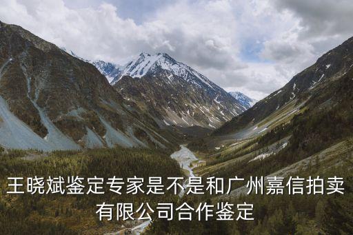 廣州嘉信藝術品拍賣，王曉斌鑒定專家是不是和廣州嘉信拍賣有限公司合作鑒定