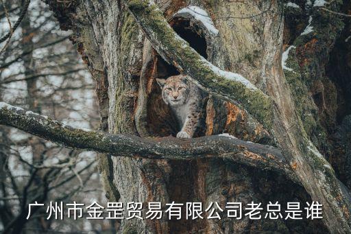 廣州市金罡貿(mào)易有限公司老總是誰