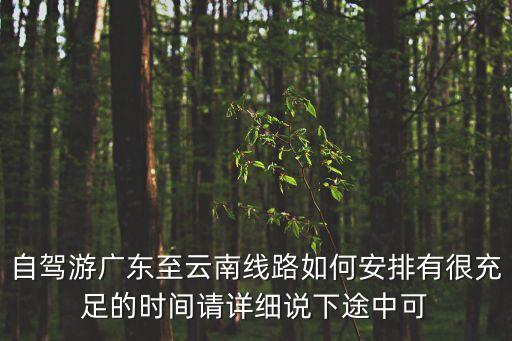 自駕游廣東至云南線路如何安排有很充足的時間請詳細說下途中可