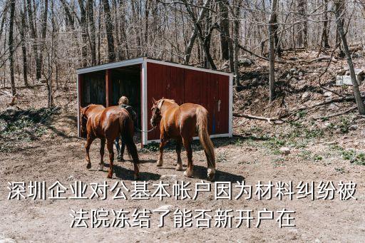 深圳大批量凍結對公賬戶，深圳企業對公基本帳戶因為材料糾紛被法院凍結了能否新開戶在