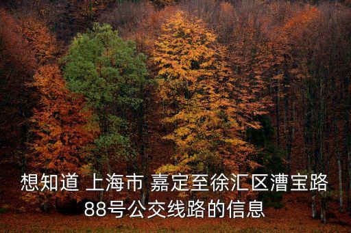 上海市徐匯區漕寶路88，想知道 上海市 嘉定至徐匯區漕寶路88號公交線路的信息