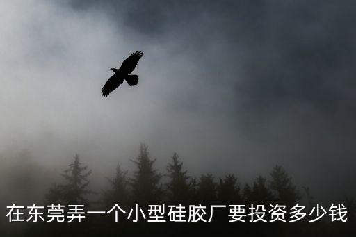 在東莞弄一個小型硅膠廠要投資多少錢
