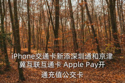iPhone交通卡新添深圳通和京津冀互聯互通卡 Apple Pay開通充值公交卡